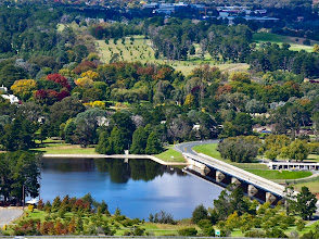 National Tree Museum